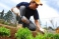 Fichier email amateurs de bricolage et jardinage